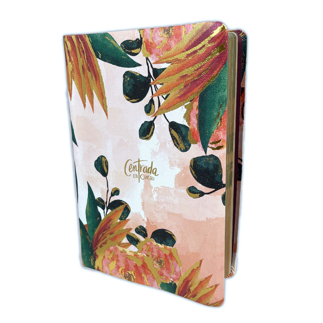 BIBLIA CENTRADA EN CRISTO