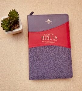 BIBLIA MANUAL Con cierre-índice-letra grande