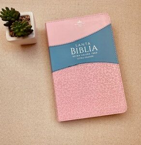 BIBLIA MANUAL LETRA GRANDE (Duo tono rosa y azul con cierre)