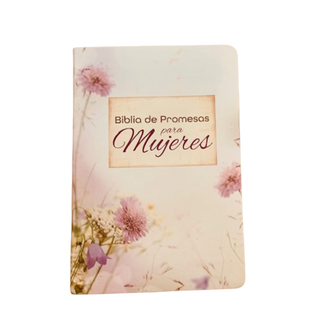 BIBLIA DE PROMESAS Letra Gigante