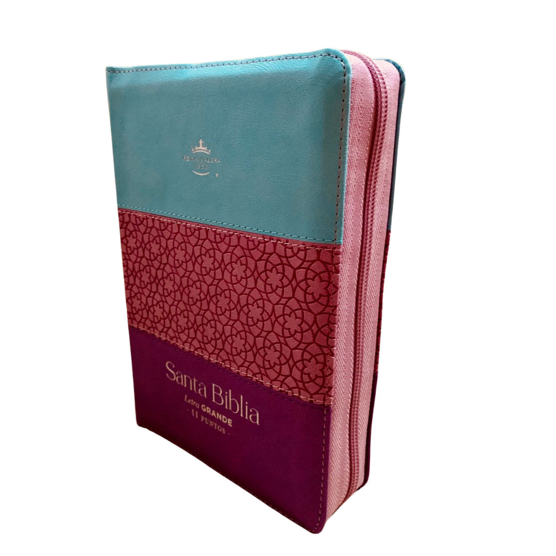 BIBLIA LETRA GRANDE TRICOLOR