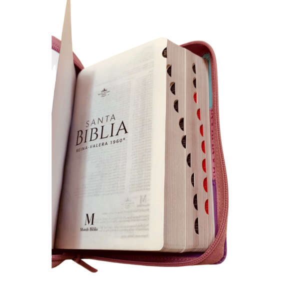 BIBLIA LETRA GRANDE TRICOLOR - Imagen 3