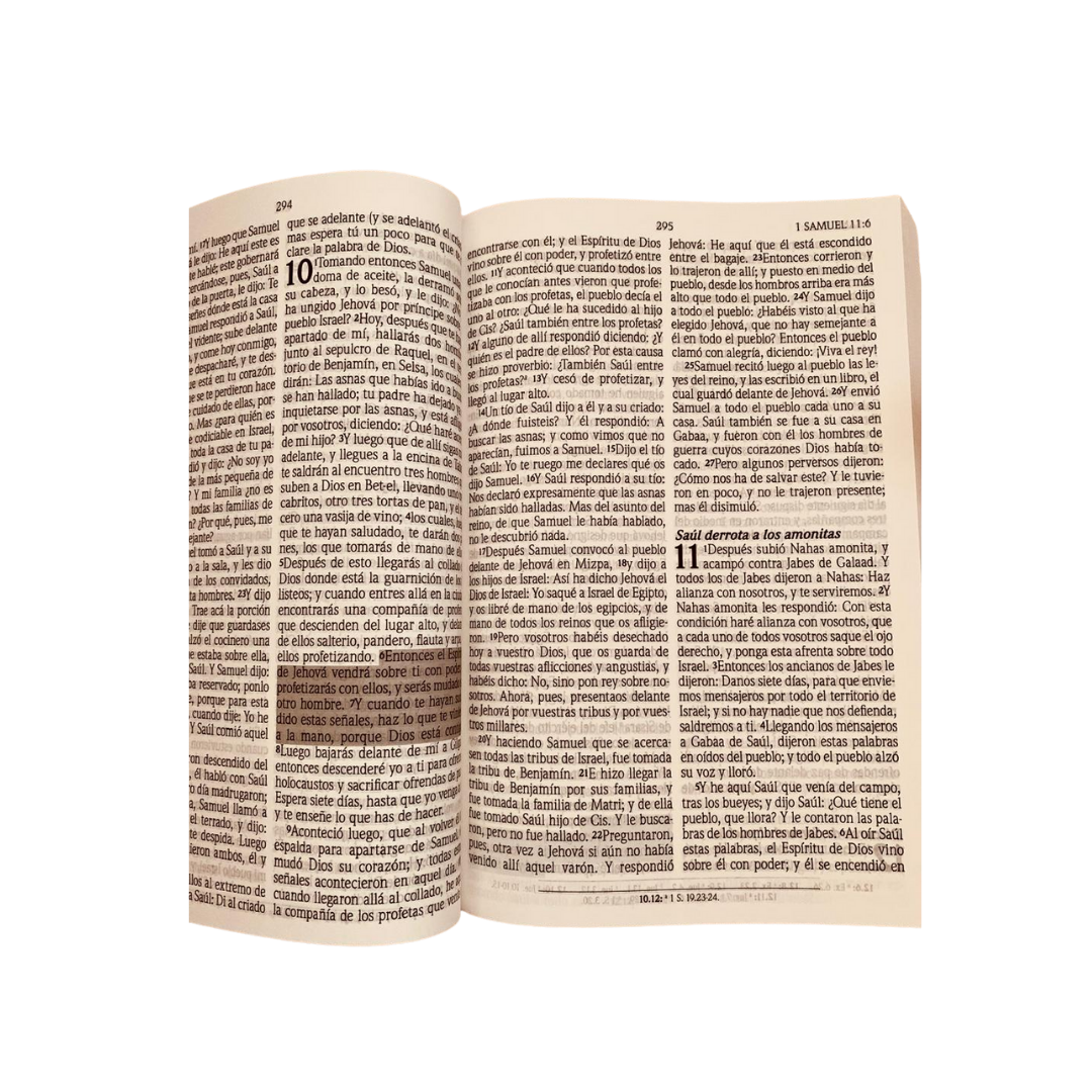 BIBLIA LETRA GRANDE ECONÓMICA -Edición promesas