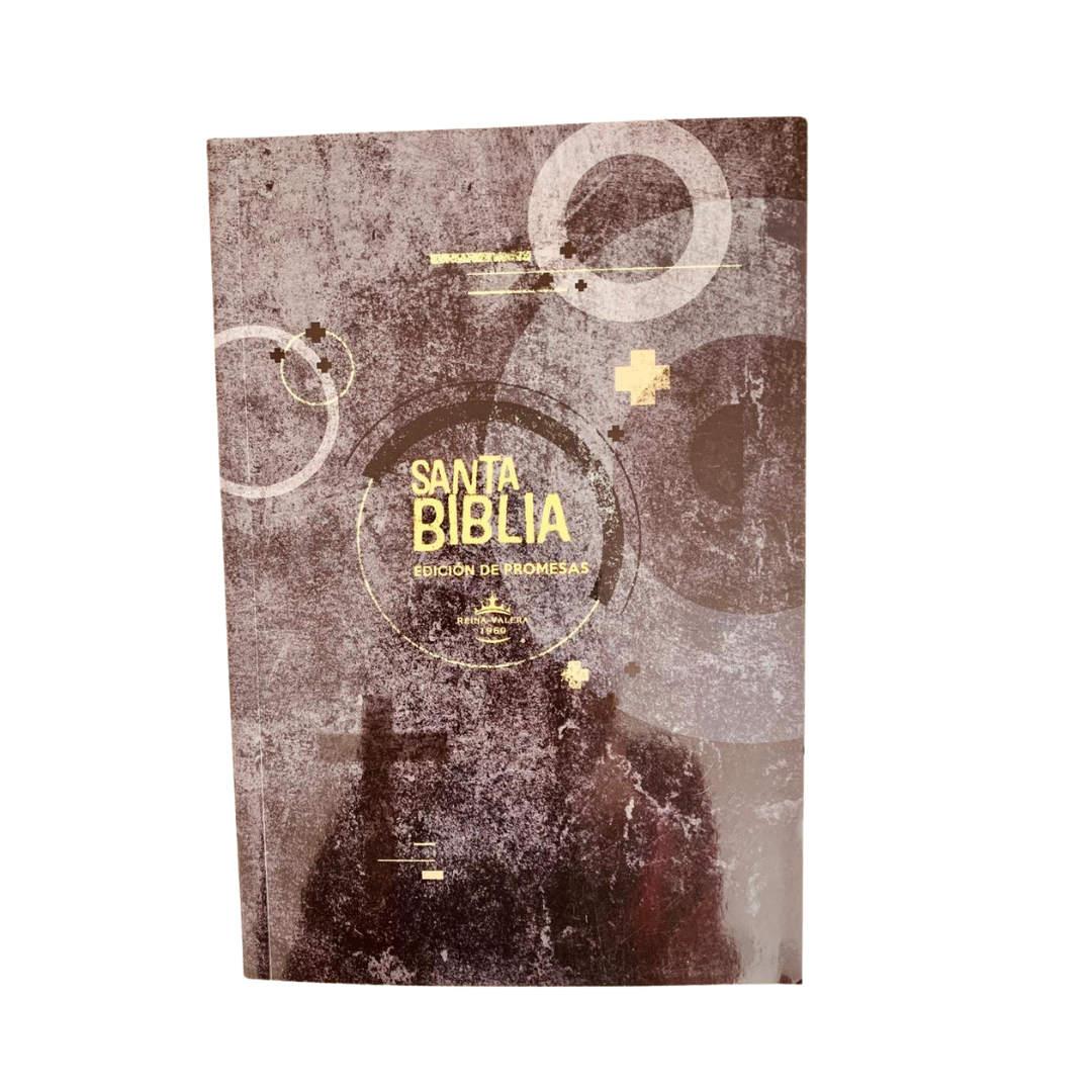 BIBLIA LETRA GRANDE ECONÓMICA -Edición promesas
